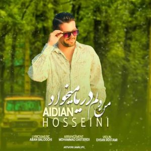 دانلود آهنگ آیدین حسینی من دلم دریا میخواد