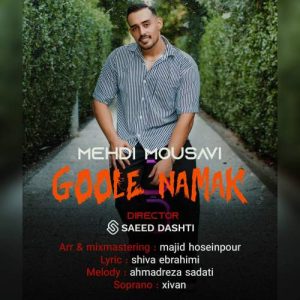 دانلود آهنگ مهدی موسوی گوله نمک