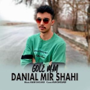 دانلود آهنگ دانیال میرشاهی گل من