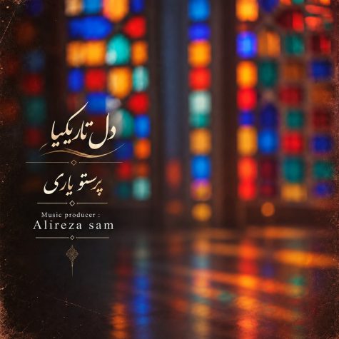 دانلود آهنگ پرستو یاری دل تاریکیا