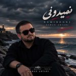دانلود آهنگ بهزاد پکس از دوباره